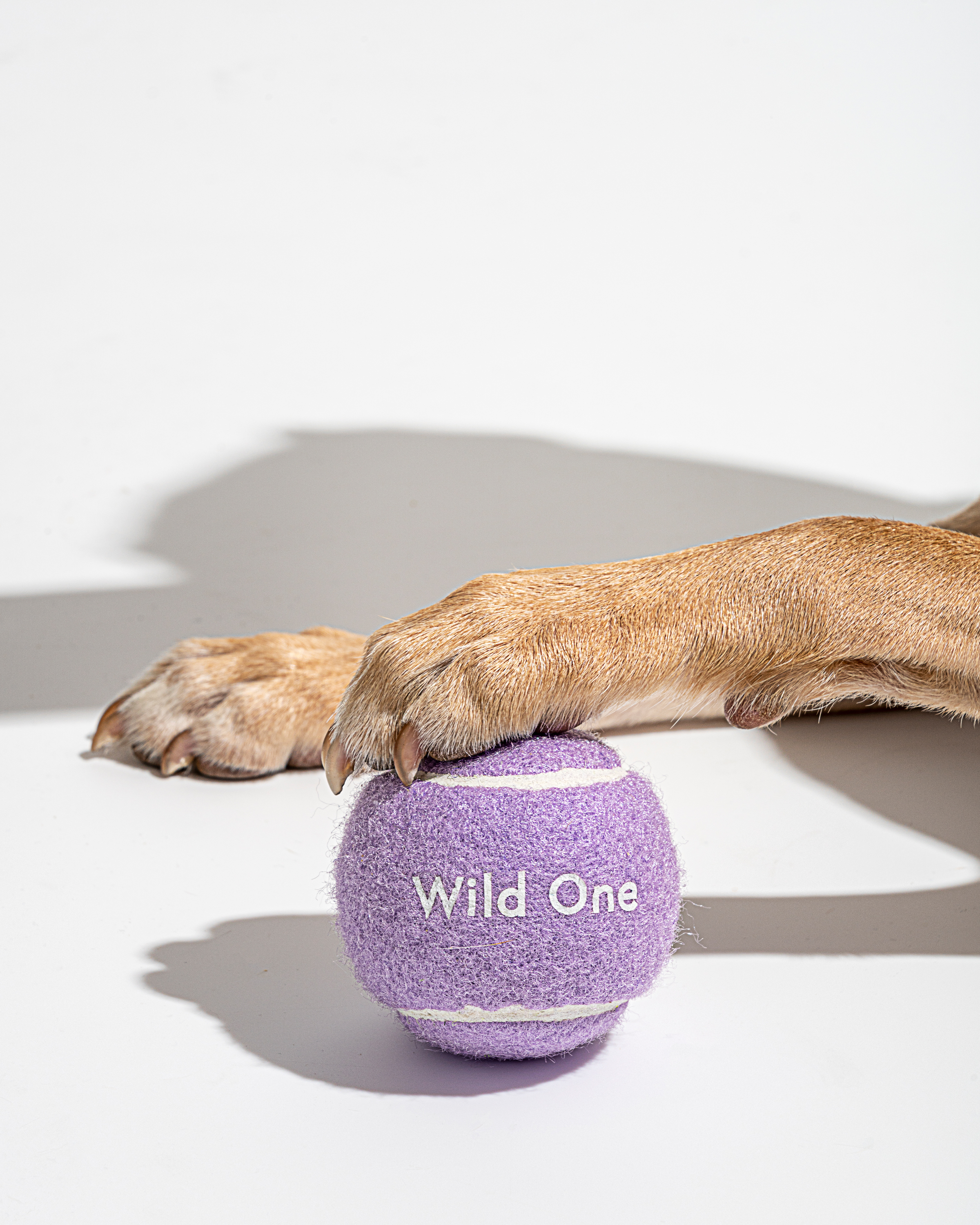 Wild One Tennis Tumble Dog Toy - Red