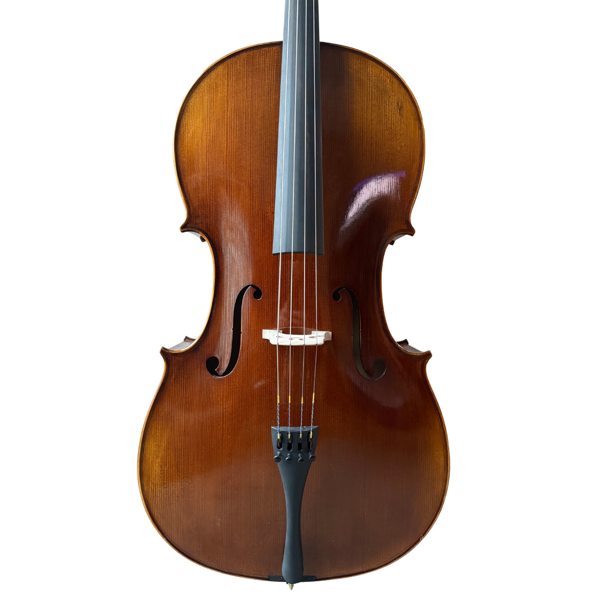 Anton Gerard Cello Outfit in action