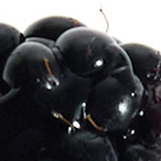 blackcurrant aroma