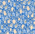 Shell Pansy Indigo
