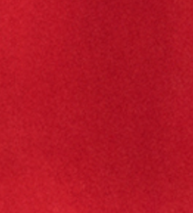 Red gathered sleeve v neck top