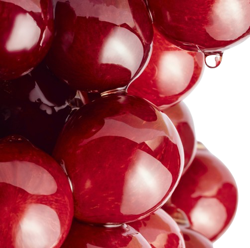 Leucoselect® Fitosoma™