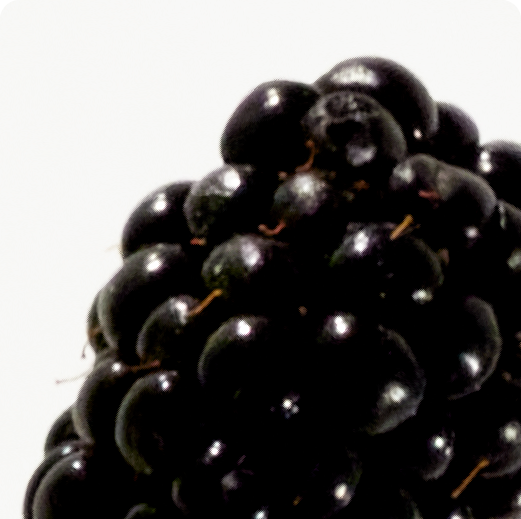 TOP: Wild Berry
