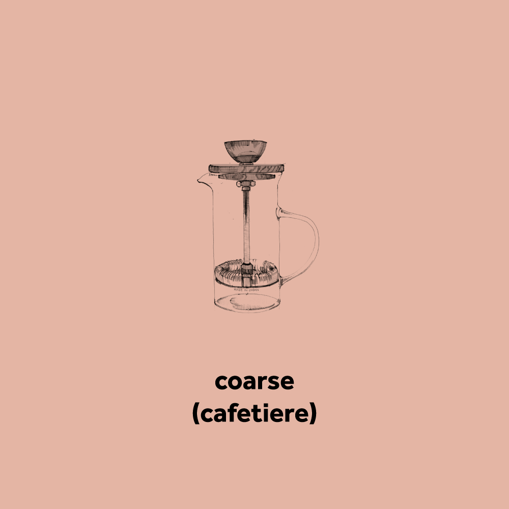 Coarse (cafetiere)