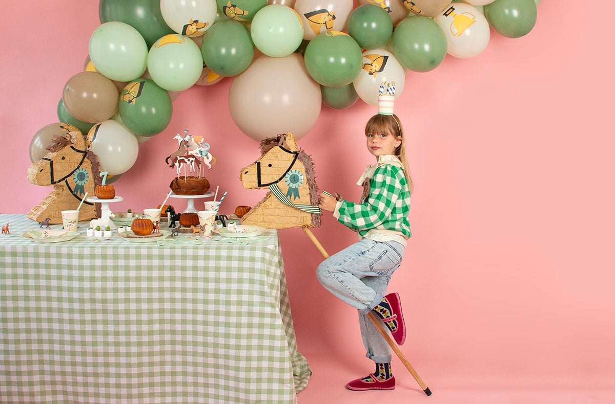 Toute la décoration pour un anniversaire cheval