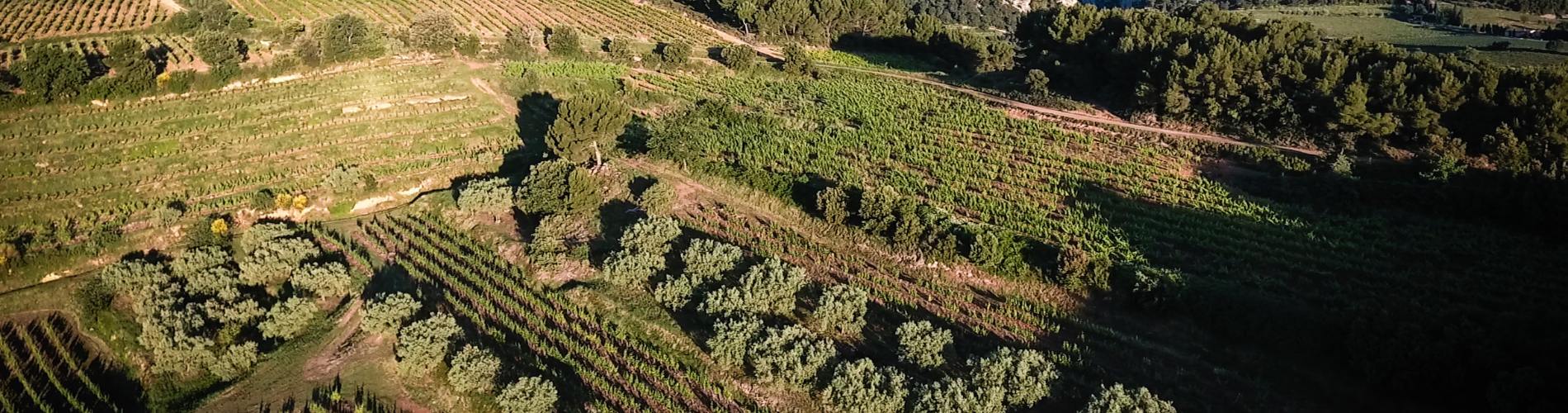 Domaine du Grand Prieur Vacqueyras