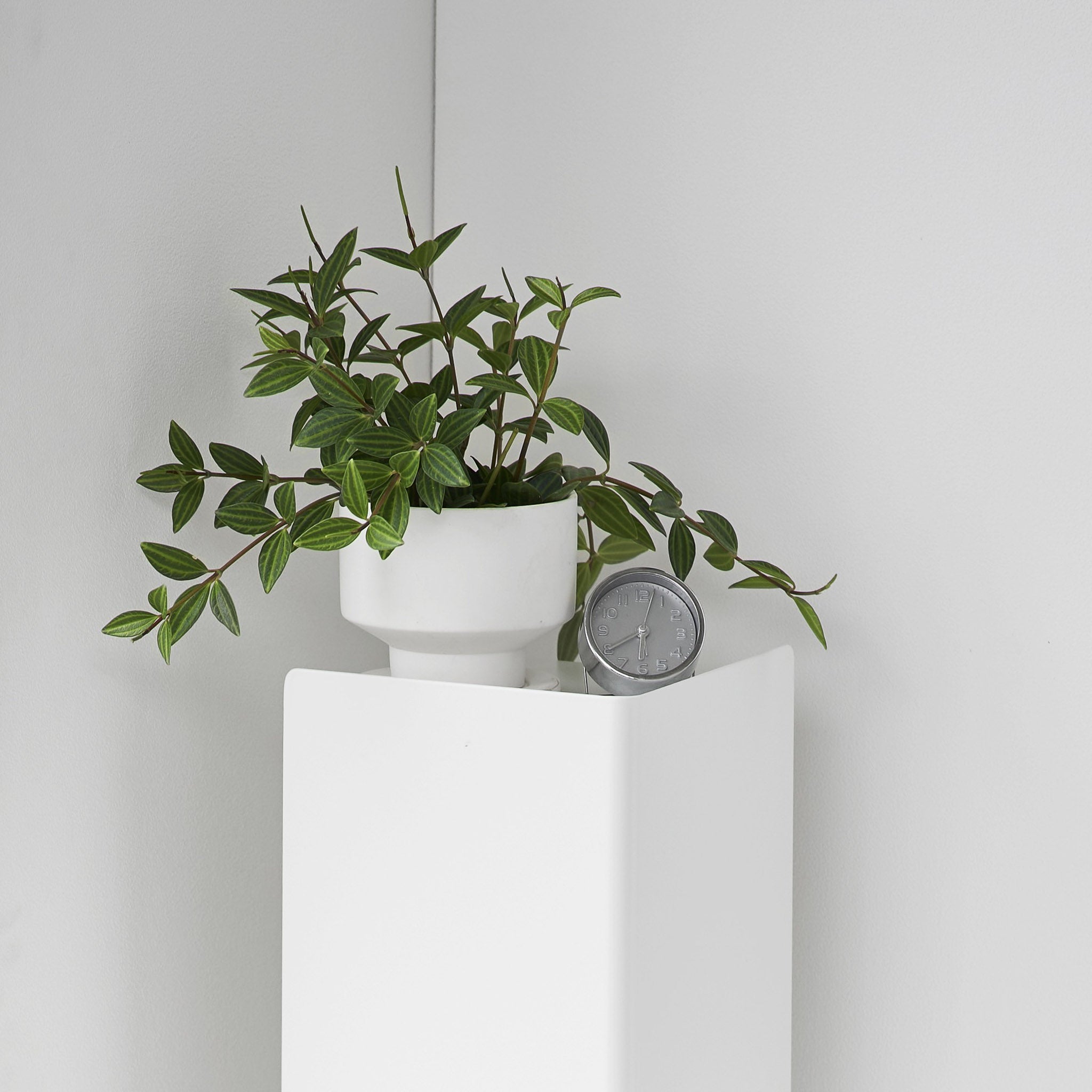 Slim Toilet Paper Stocker with Casters (Toilet Paper Holder): Extra top storage