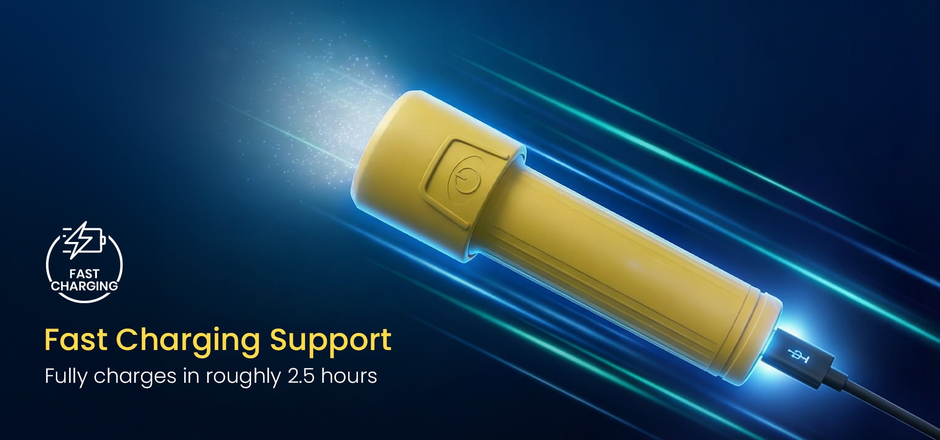 Fast Charging Support
