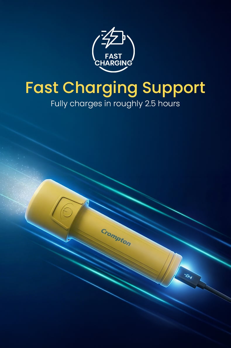 Fast Charging Support