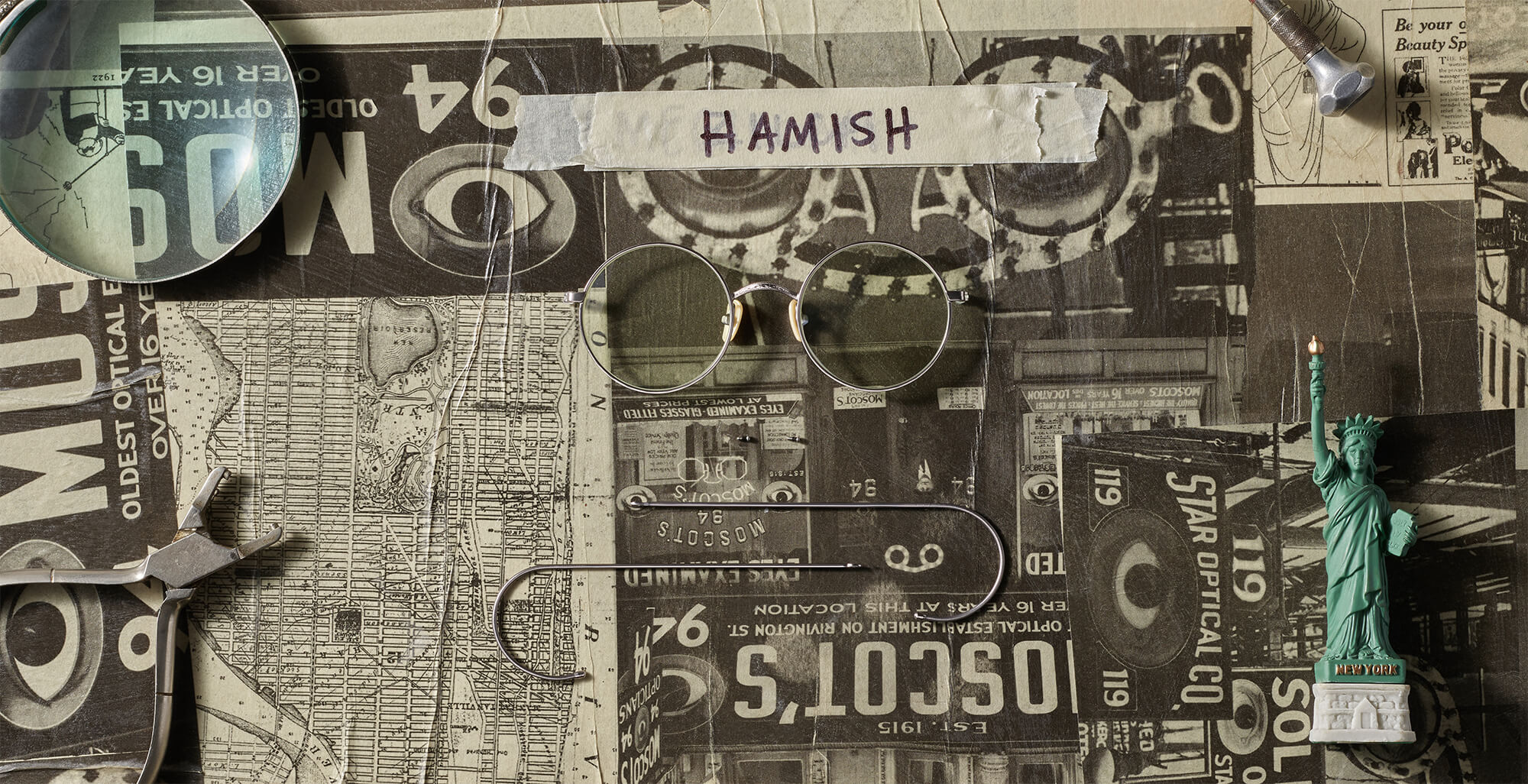 The HAMISH