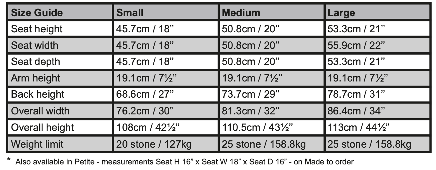 Ambassador Riser Recliner in Leather