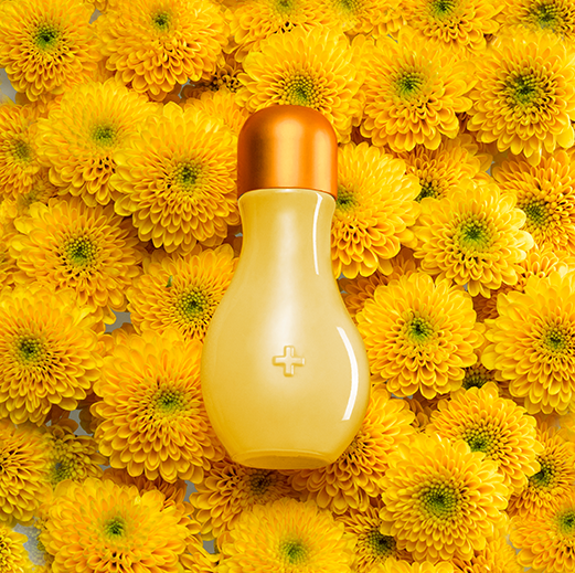 mimosa drops