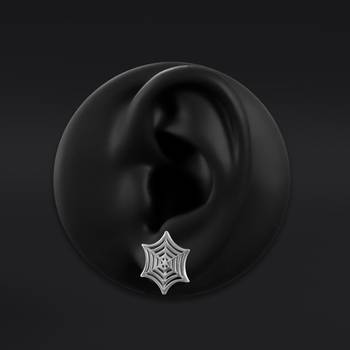 Stud Earrings, Silver, Spider Web Design, Titanium - Pair