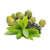 Green Tea & Kakadu Plum
