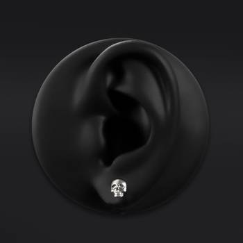 Stud Earrings, Silver, Skull Design, Titanium - Pair