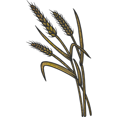 Azelaic Acid Ingredients Icon