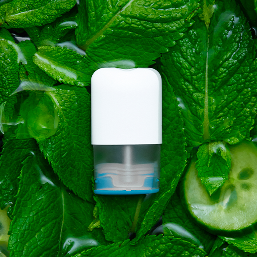 4x peppermint pods