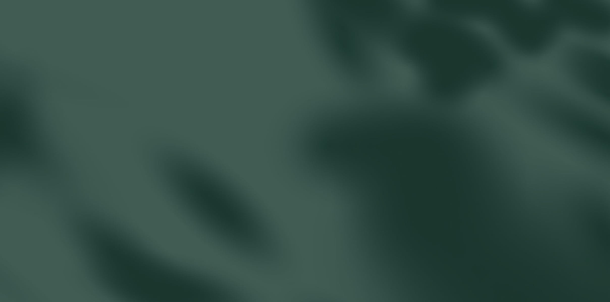 Tenejapa product background