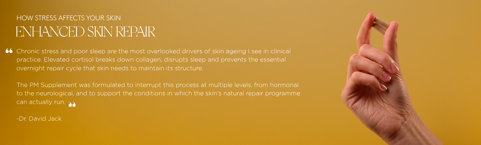 SUPPLEMENTS IN DR. JACK'S WORDS