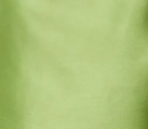 Green satin shell top