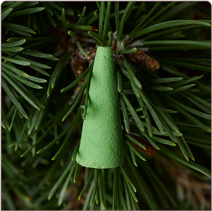 16x rich pine incense<br> droplets
