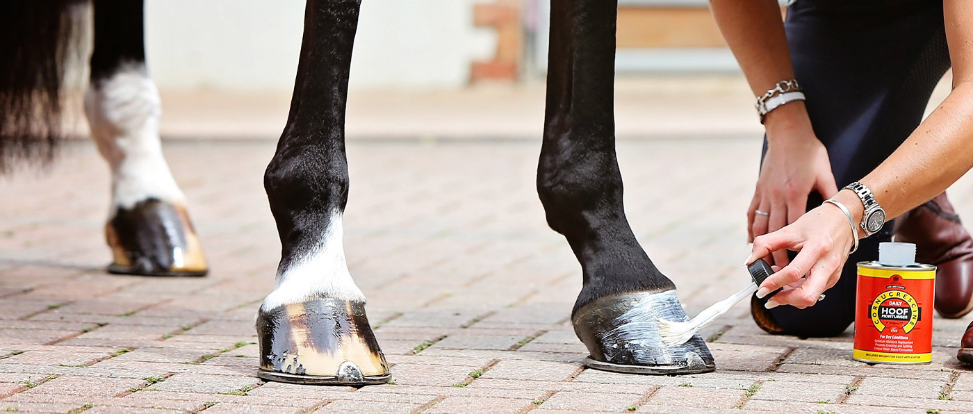 Horse Hoof Care EQUUS