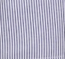 Petite blue stripe cotton shirred bodice dress