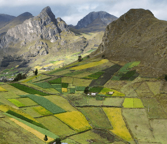 Fields of green farmed in a mountain valley