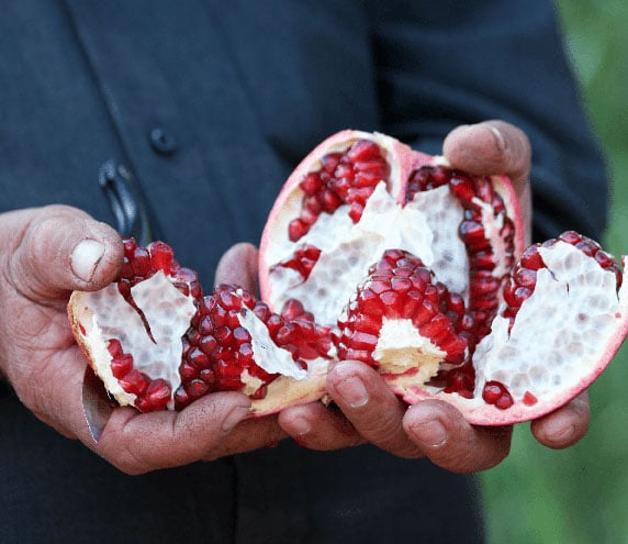 Hands holding an open fresh pomegranate