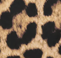 Leopard print cotton peplum top s