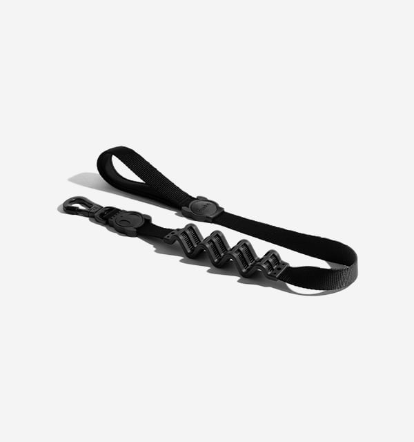 Ruff Dog Leashes - Shock Absorbent No-Pull Dog Leashes – Zee.Dog