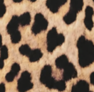 Leopard print cotton peplum top s