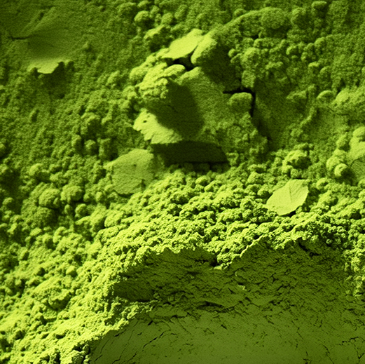 matcha