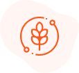 spice-set-organic-spices