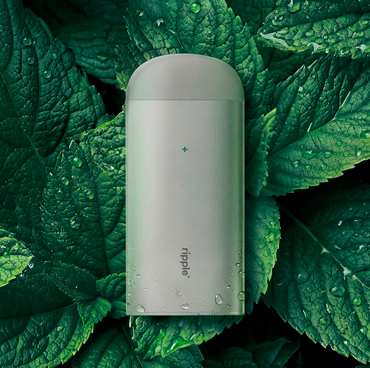 peppermint aroma