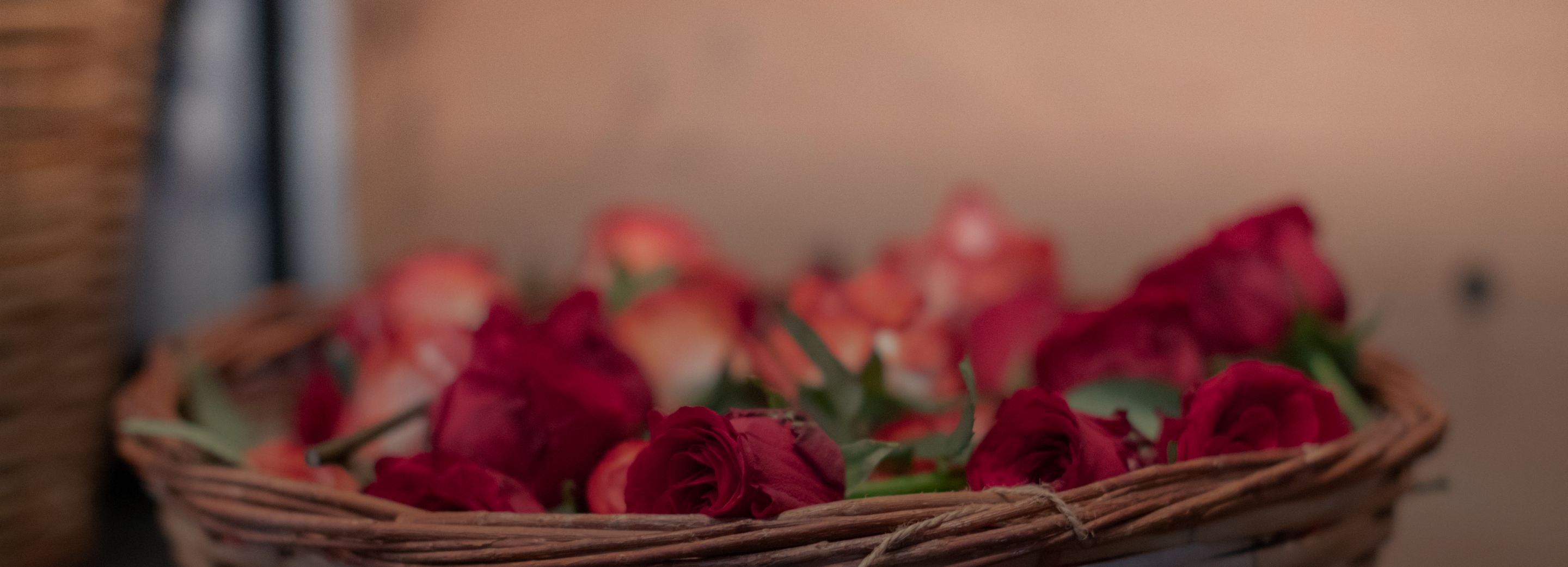 Apothecary Wild Rose