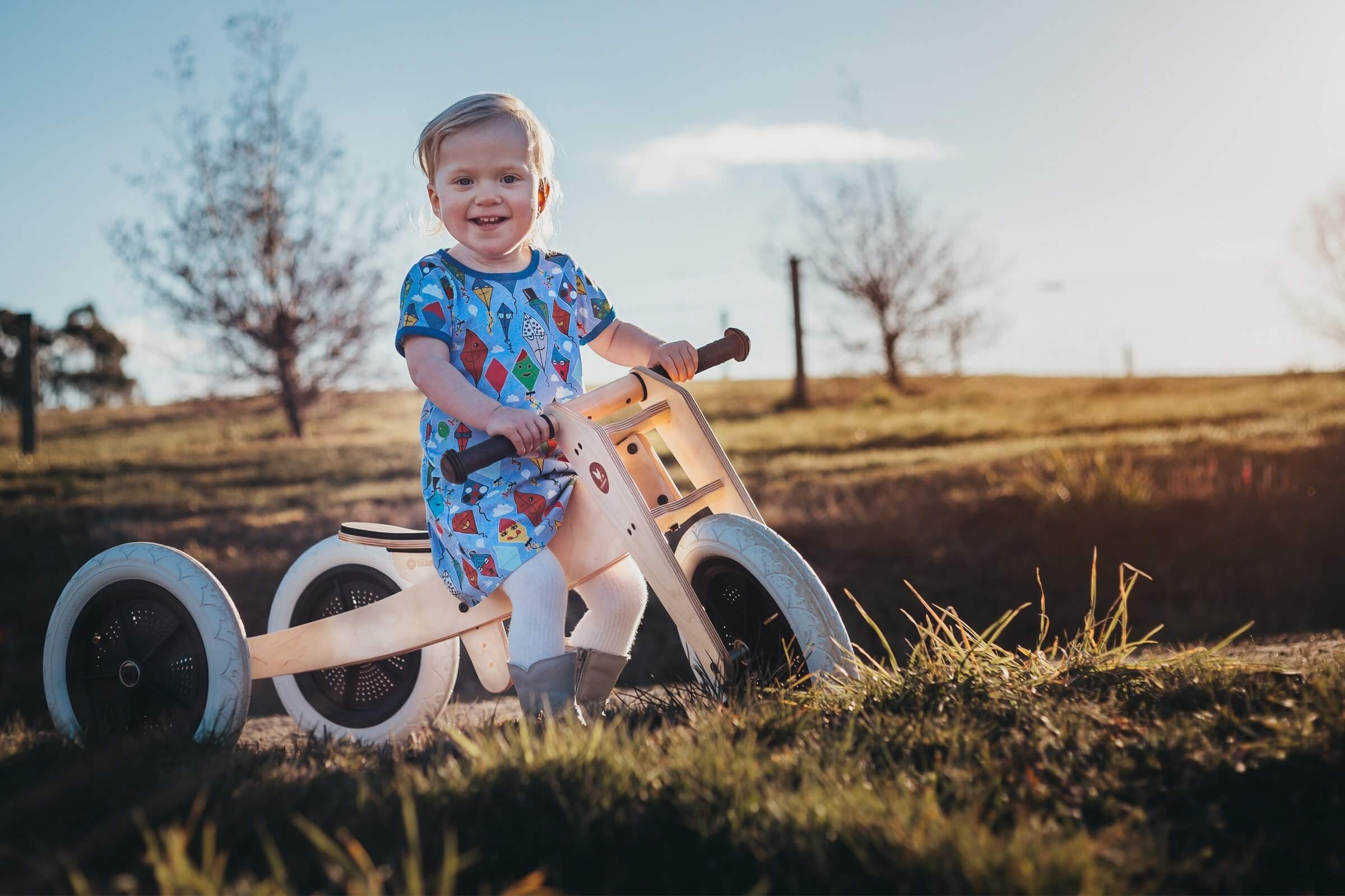 wishbone trike nz