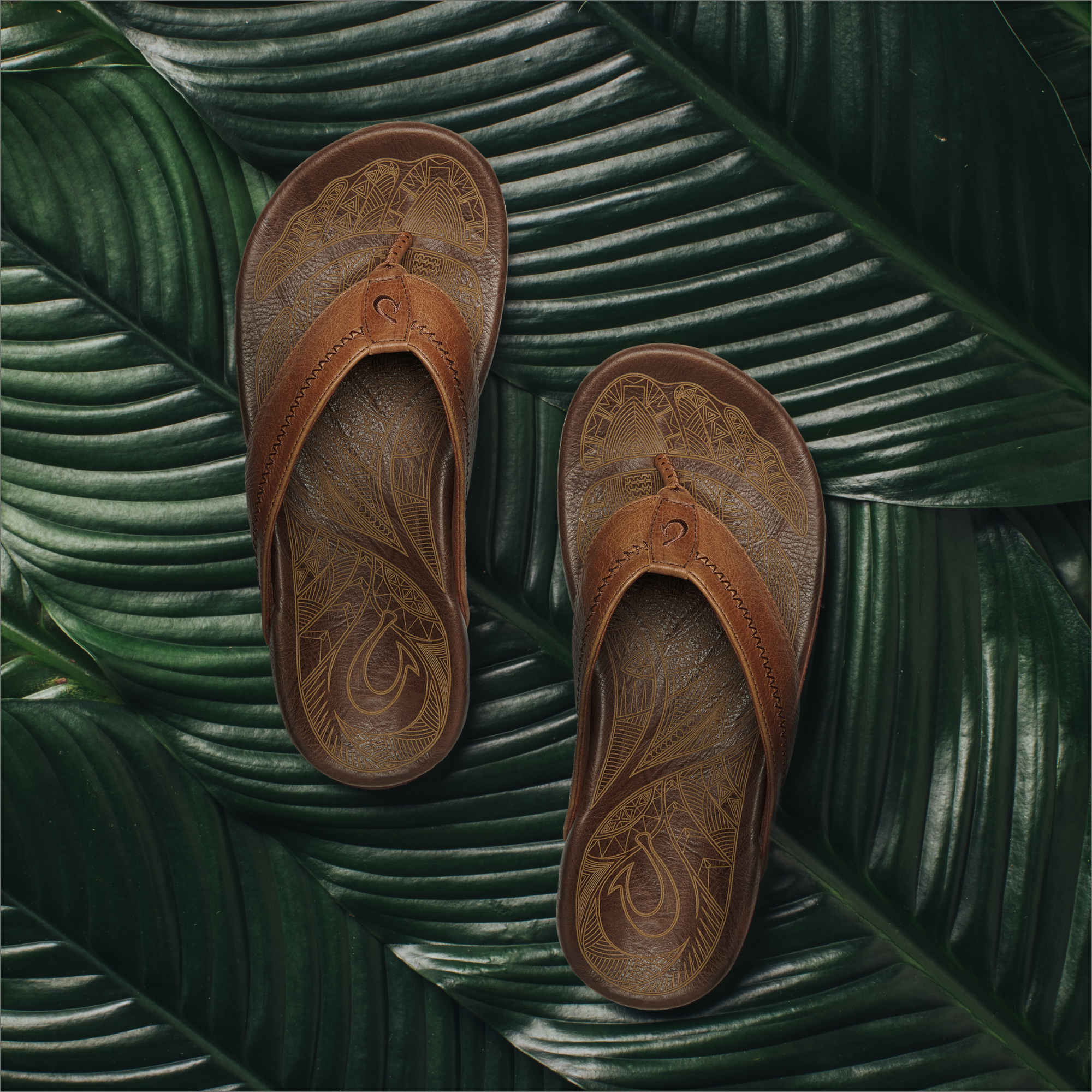 olukai men's hiapo sandals