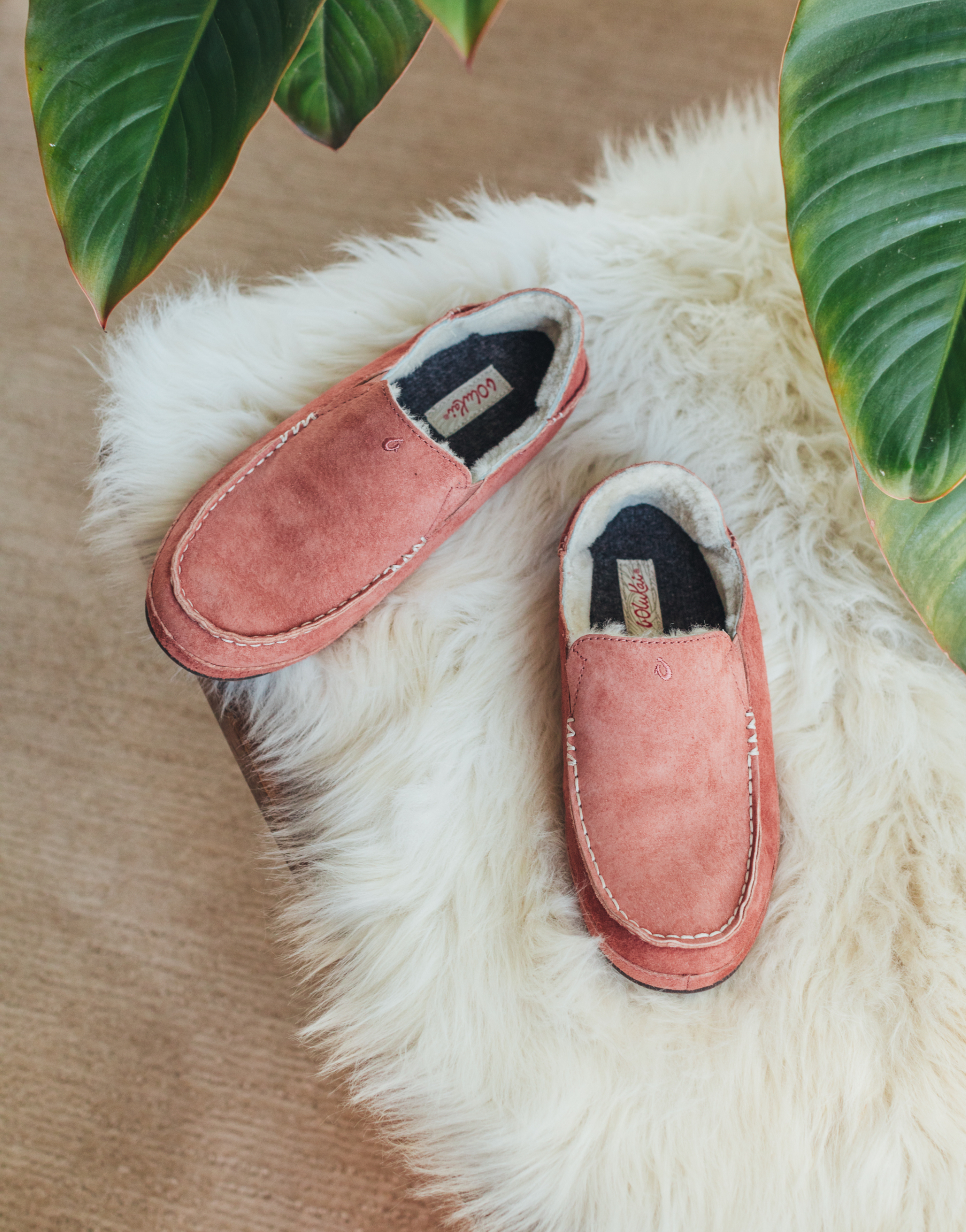 nohea slipper