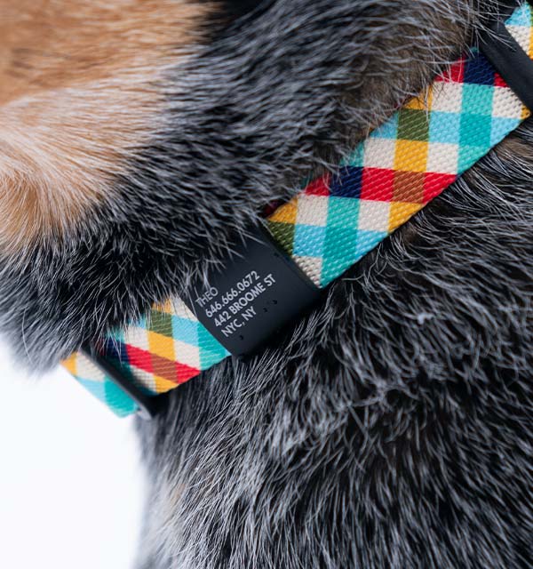 Zee.dog Keychains Zee.Dog | Connecting Dogs and People