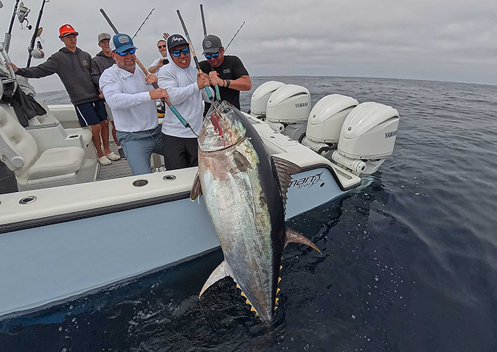 Joseph Tapresentation image 3