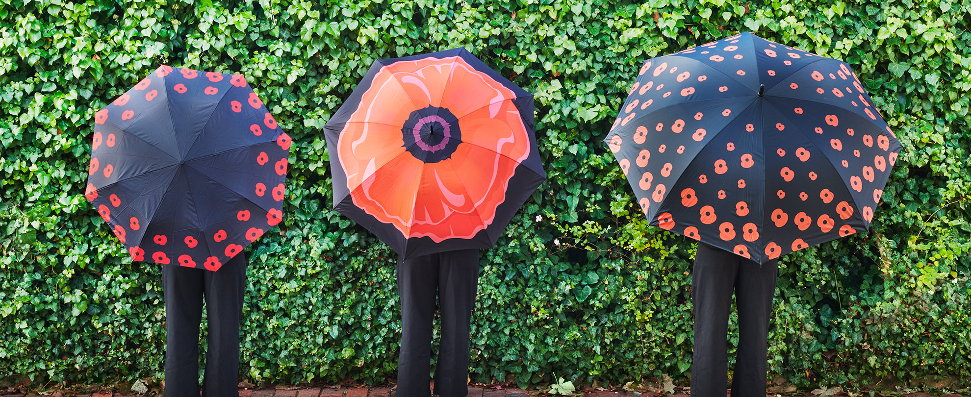 Poppy Umbrellas