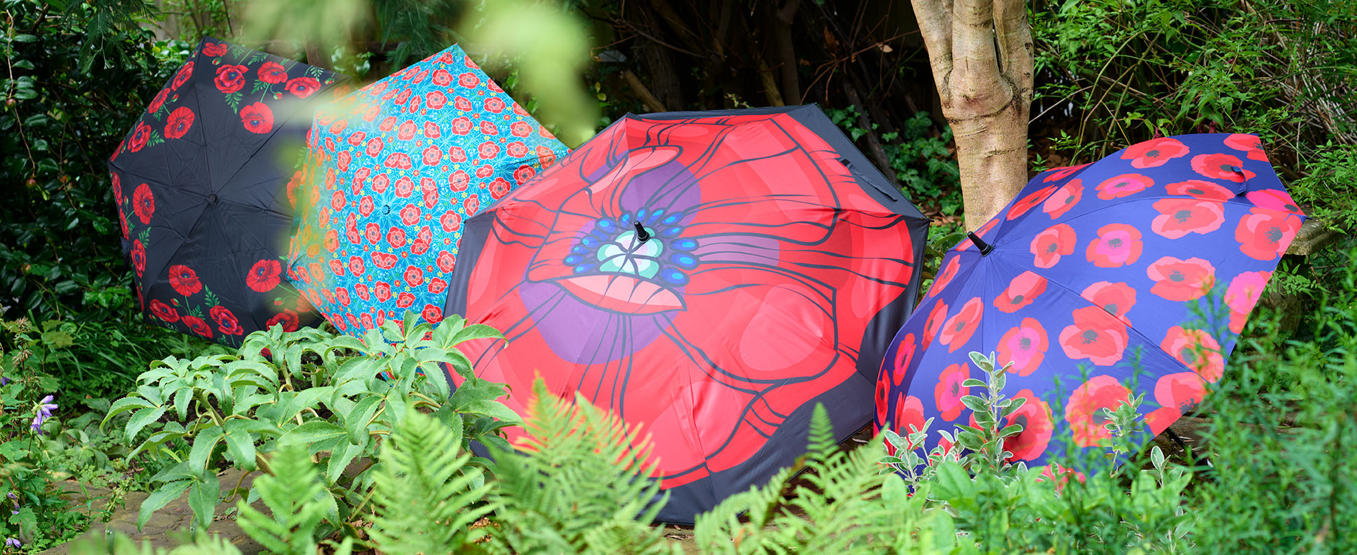 Poppy Umbrellas