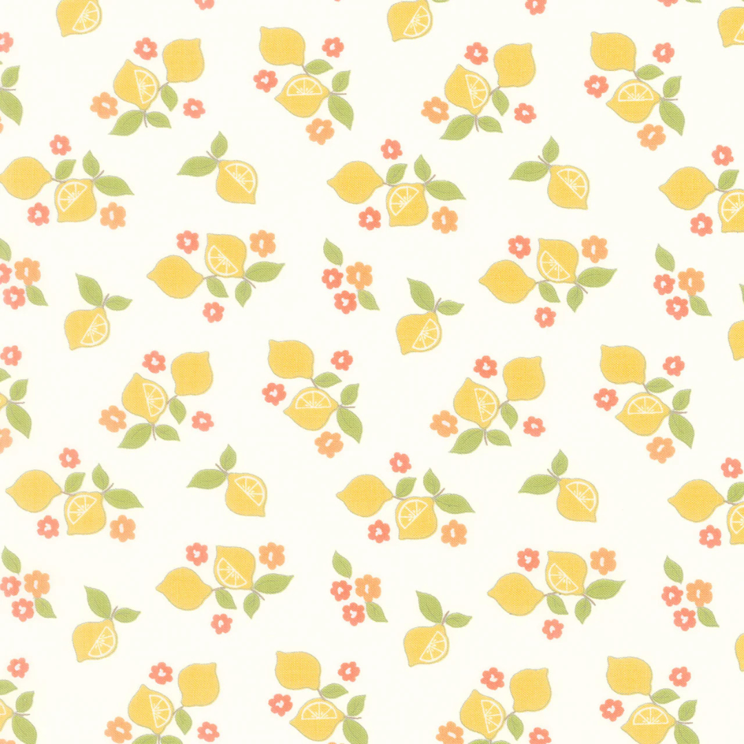 Shop the latest sandy gervais fabric collections at Missouri Star Quilt Co.