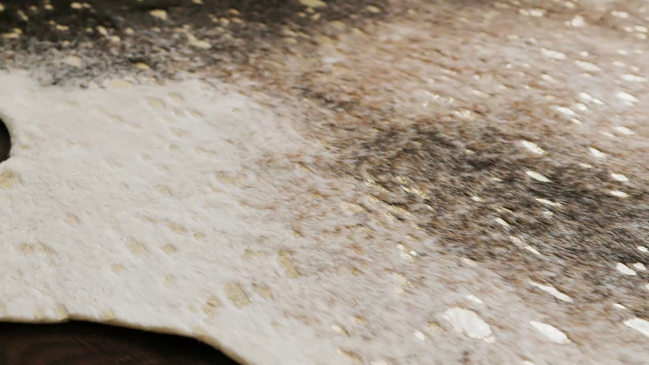 BZ-04 MOCHA / GOLD video