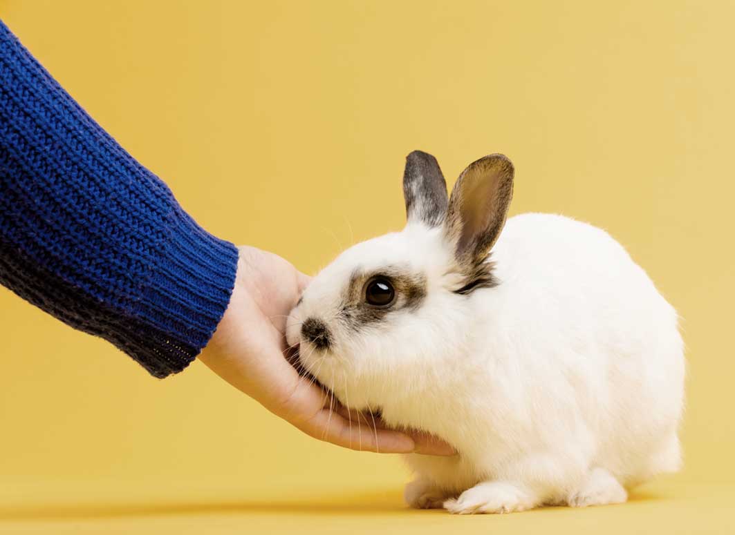 Eco-friendly and kind to skin
