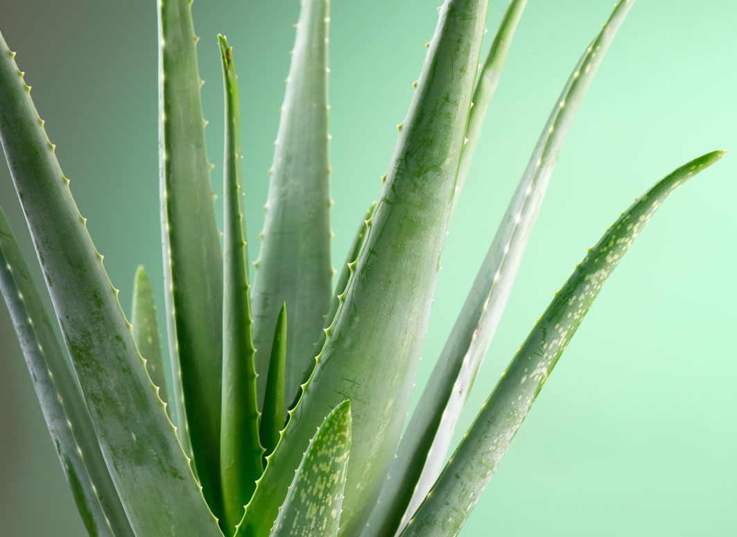 Which ingredients can irritate sensitive skin?