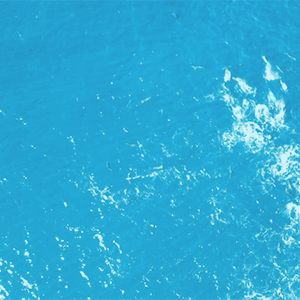 Breezy Blue