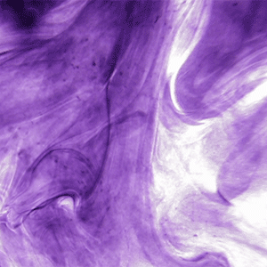 Vivacity Purple