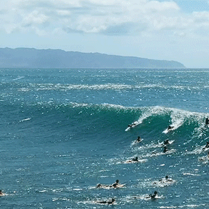 Ocean